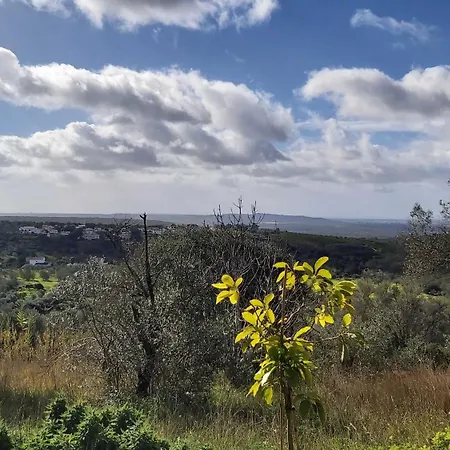 Casa Delfim - Casa Feriehus *