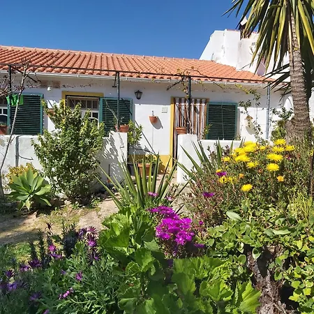 Hébergement de vacances Casa Delfim - Casa Alte