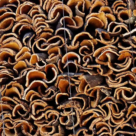 בית נופש Casa Delfim - Casa אלטה